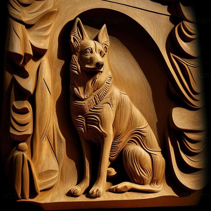 The Canaanite dog